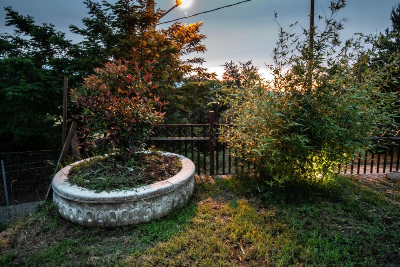 La Torre-1984 Bed & Breakfast Sarnelli Dış mekan fotoğraf