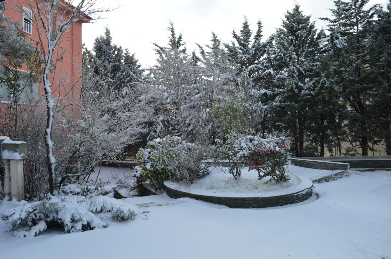 La Torre-1984 Bed & Breakfast Sarnelli Dış mekan fotoğraf